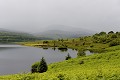 A l'ouest de Fort Augustus, les sommets sont peu élevés et les lochs nombreux, bordés de tourbières et de fougères. ecosse,highlands,loch quoich 