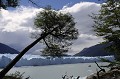 Au sud de la Patagonie argentine, le glacier "Perito Moreno" domine les eaux du lac "Argentino" de près de 70 mètres. C'est un des rares glaciers au monde qui ne régresse pas. argentine,patagonie,province de santa cruz,glacier perito moreno,lac argentino 