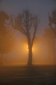 Juste avant l'aube, un réverbère éclaire l'esplanade de Domme noyée dans le brouillard. dordogne,domme,brouillard 