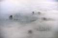 Le haut des arbres apparaît dans la brume. dordogne,brume 