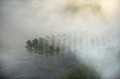  dordogne,domme,brume 