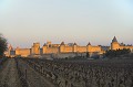 Les vignes sont encore dans l'ombre; seuls les remparts s'offrent à nos yeux. aude,pays cathare,carcassonne,remparts 